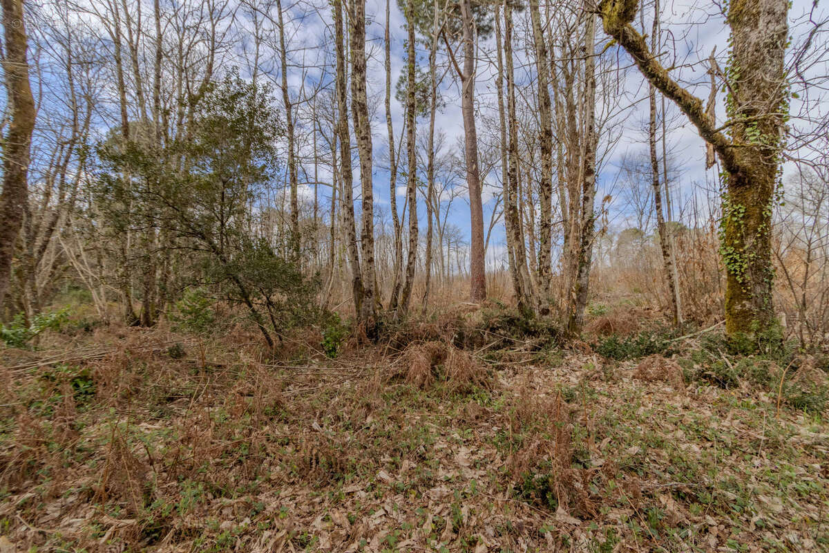 Terrain à CARSAC-AILLAC