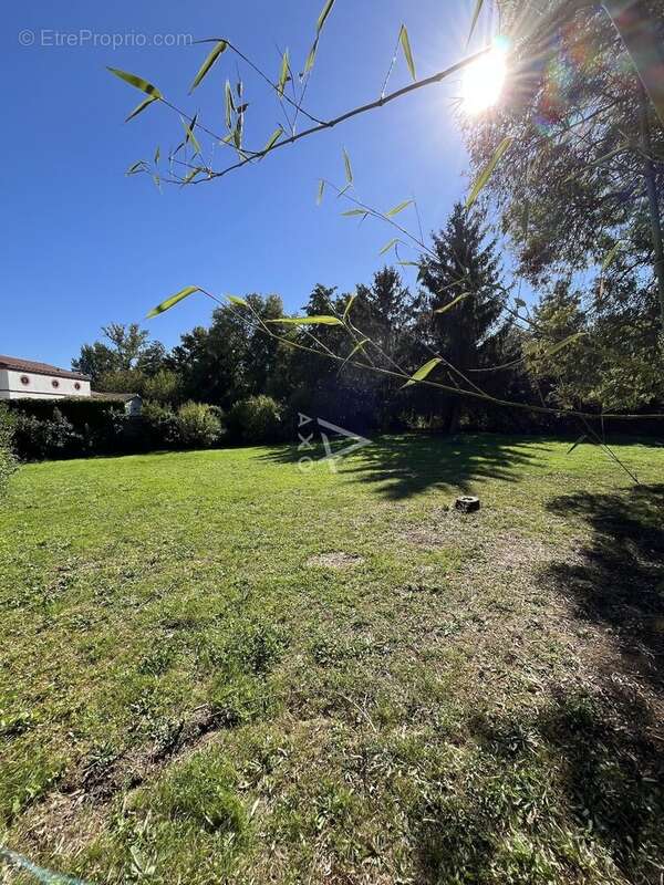 Terrain à PIN-BALMA