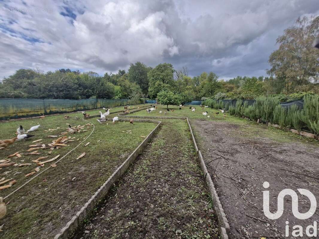 Photo 4 - Maison à ROMILLY-SUR-SEINE
