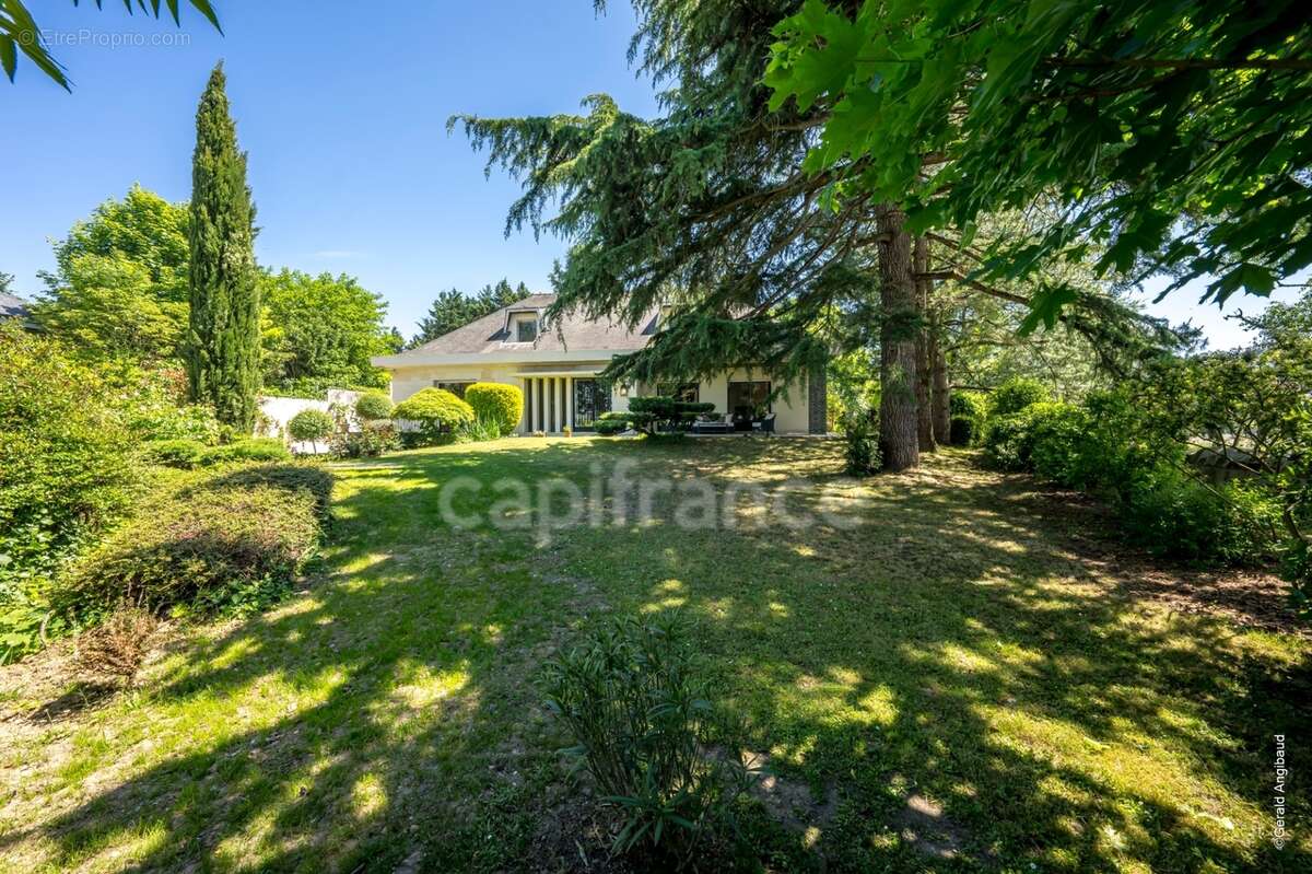 Propriete d'exception à vendre à SAUMUR (49400)  Panorama d'exception sur le château et la Loire - 328m² - 2278m²-piscine - photo 20