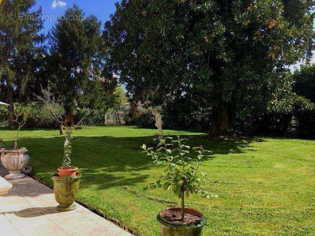 JARDIN - Maison à LAMOTHE-LANDERRON