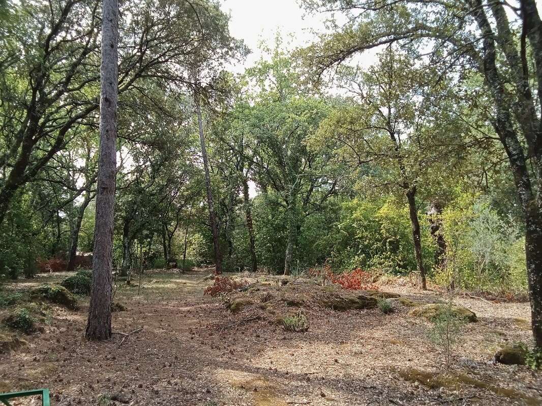 Très beau terrain constructible plein sud. - photo 12