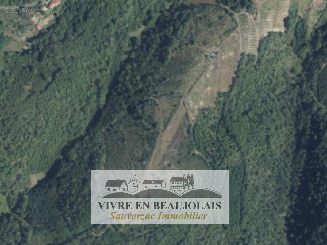 Terrain à VAUX-EN-BEAUJOLAIS