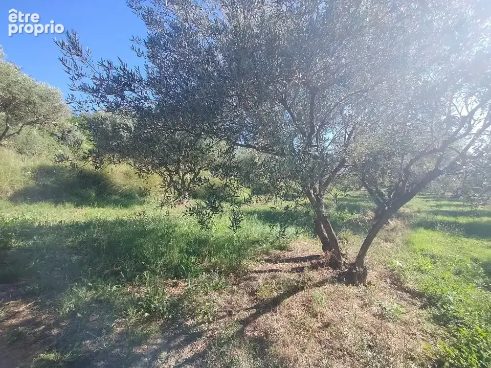 Terrain 2 504 m² à vendre à Vagnas (07150) - photo 2