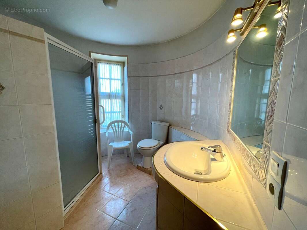 Maison 294 m² à Le Grand-Serre  - photo 6