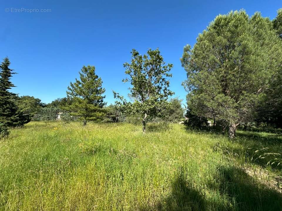 Terrain 564 m² à Le Teil  - photo 2
