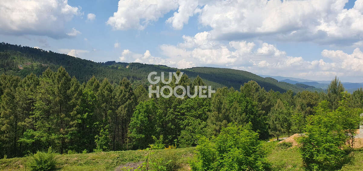 Magnifique parcelle constructible sur Mercuer - photo 2