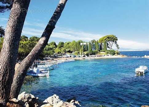 Antibes : Idéal investissement locatif - photo 10