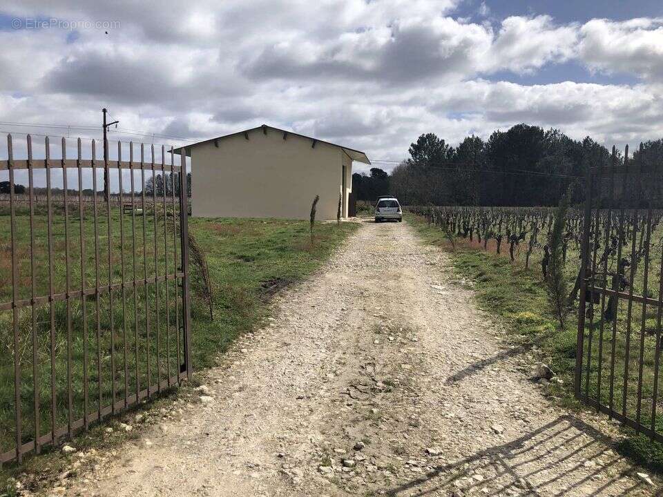 TERRAIN AGRICOLE 1,1 HECTARE AVEC BATIMEN - Terrain à QUEYRAC