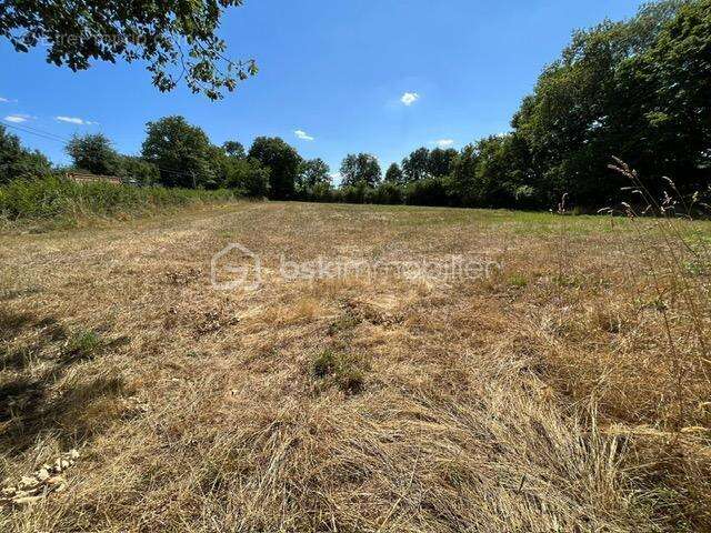 Terrain de loisir à vendre Bord de l'eau VIGEANT 86 - photo 3