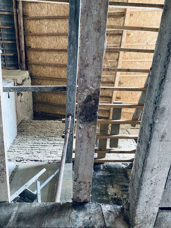 Appartement 350 m² à Bourret  - photo 48