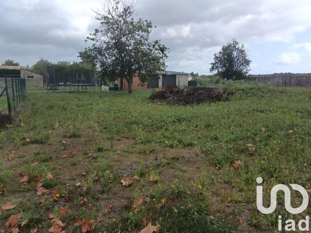 Photo 5 - Terrain à MANSIGNE