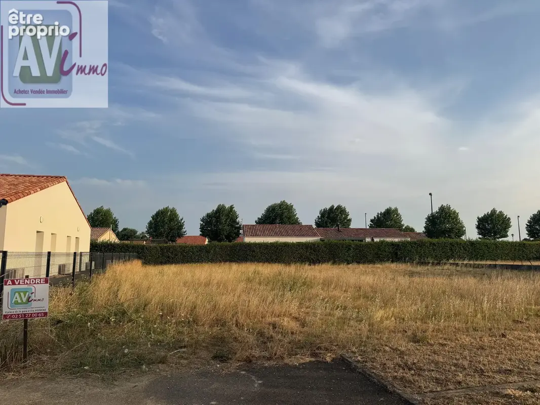 n°2