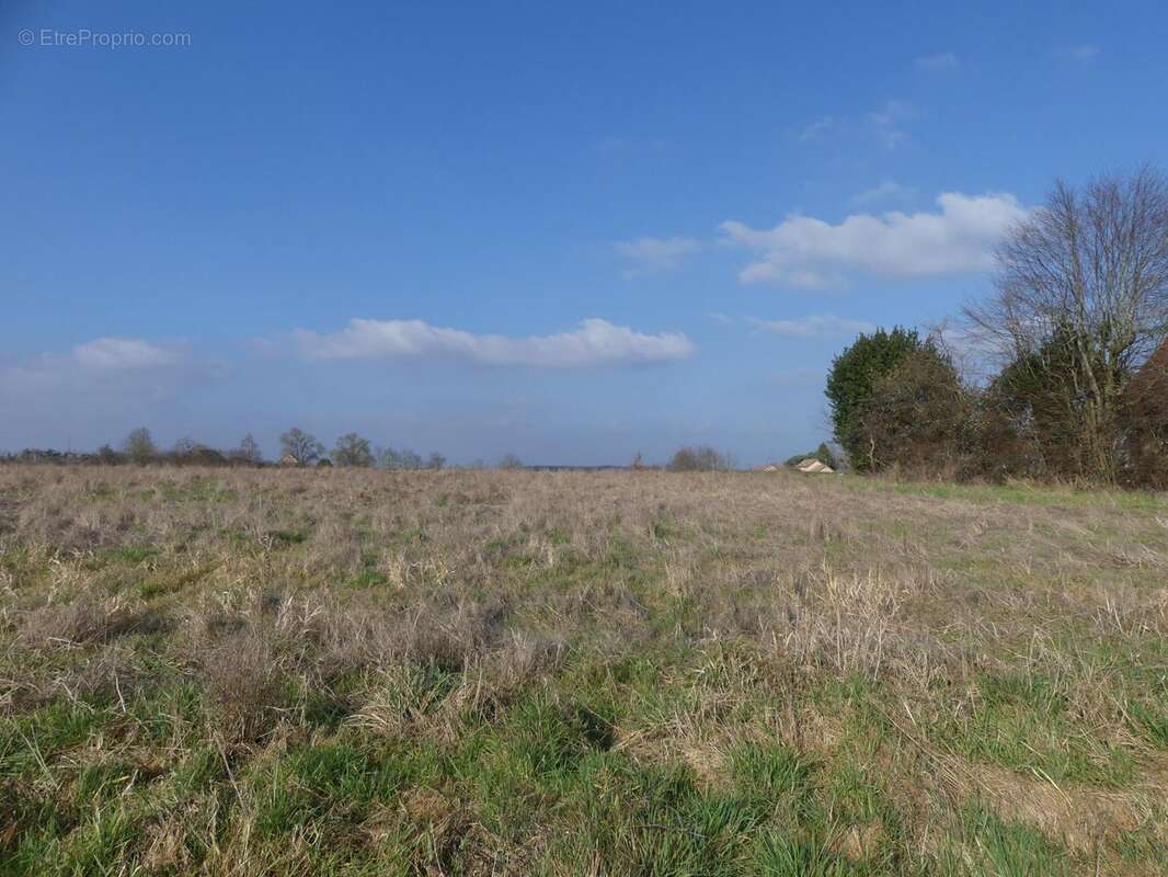 Photo 3 - Terrain à BANTANGES
