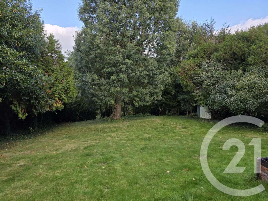 Terrain à DAMMARTIN-EN-GOELE