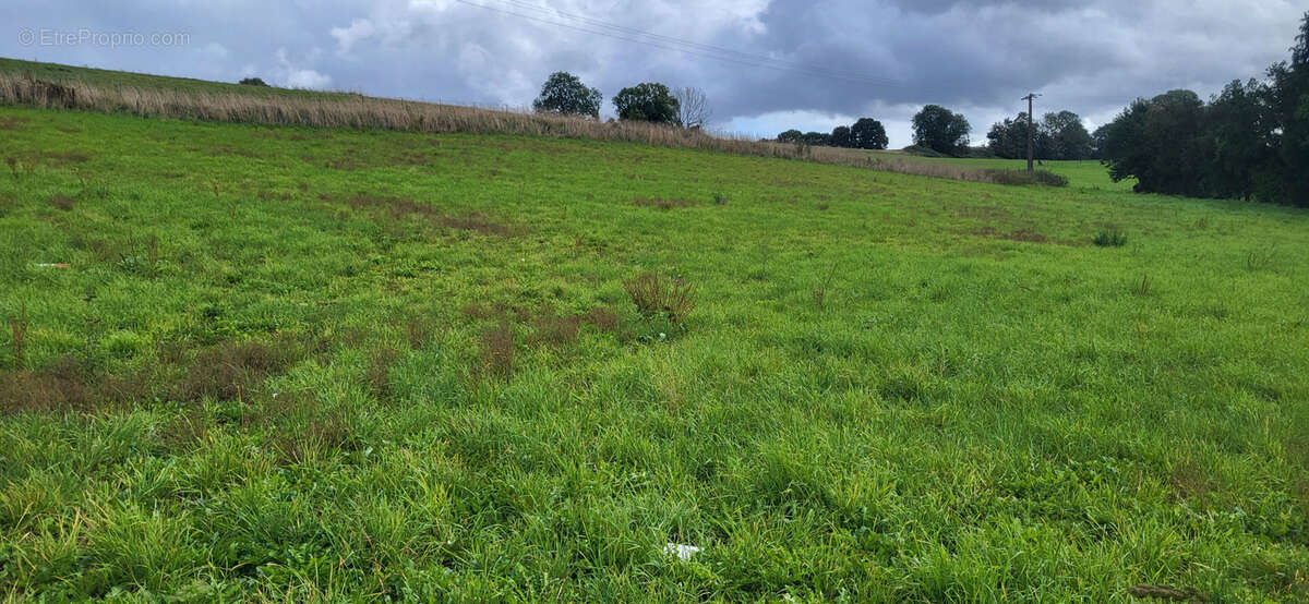 Terrain à TORCY-LE-PETIT
