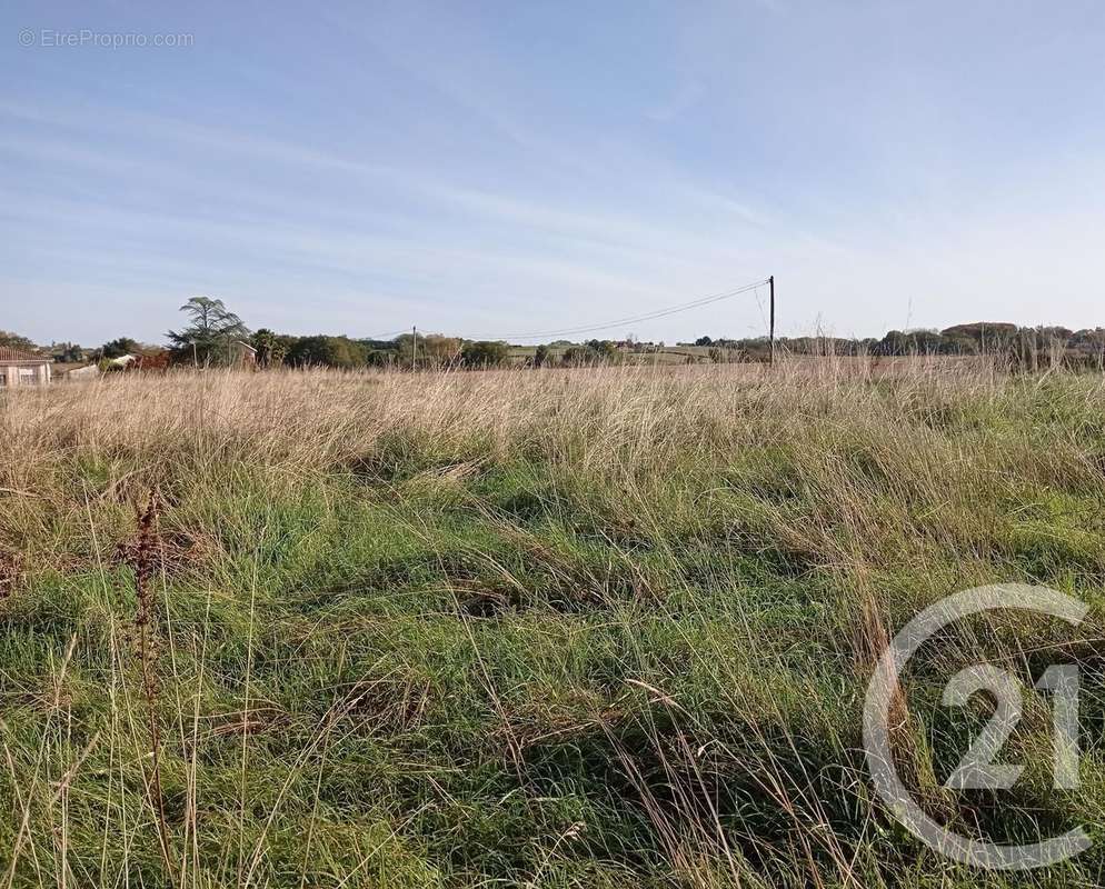 Terrain à BONNEGARDE