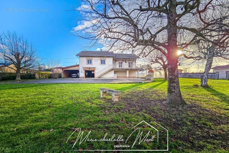 Maison à BAGE-LA-VILLE