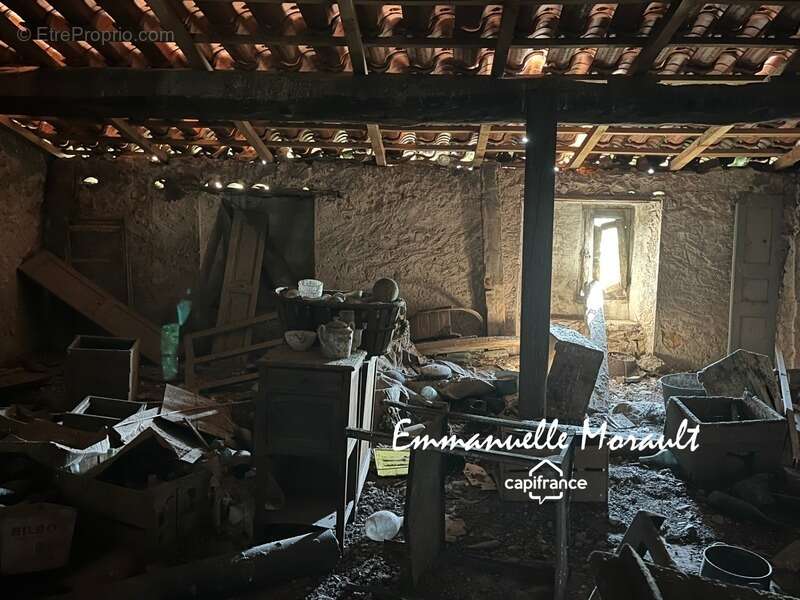 Commerce à BAGNOLS-EN-FORET