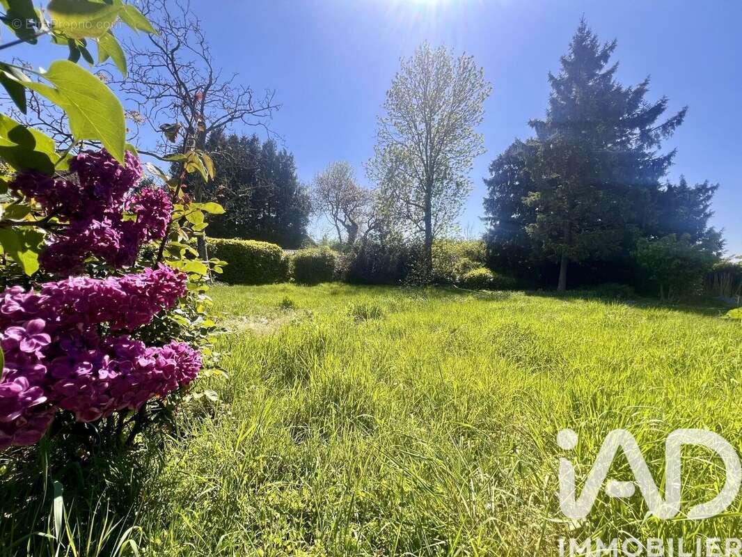 Photo 5 - Maison à GONDECOURT