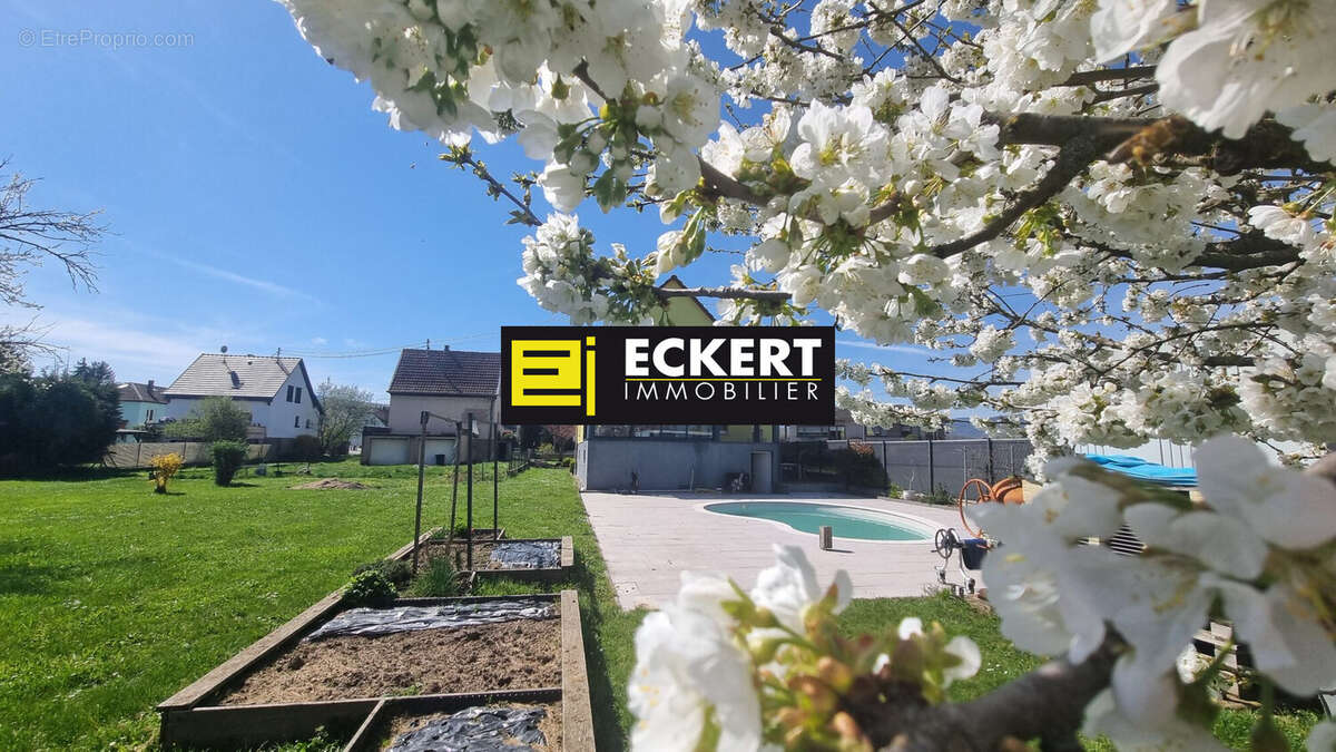 Maison à GRESSWILLER