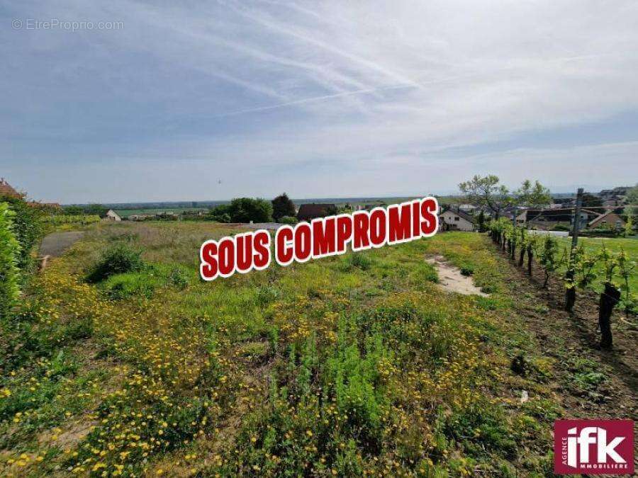 Terrain à PFAFFENHEIM