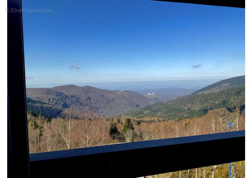 Appartement à MONTFERRIER