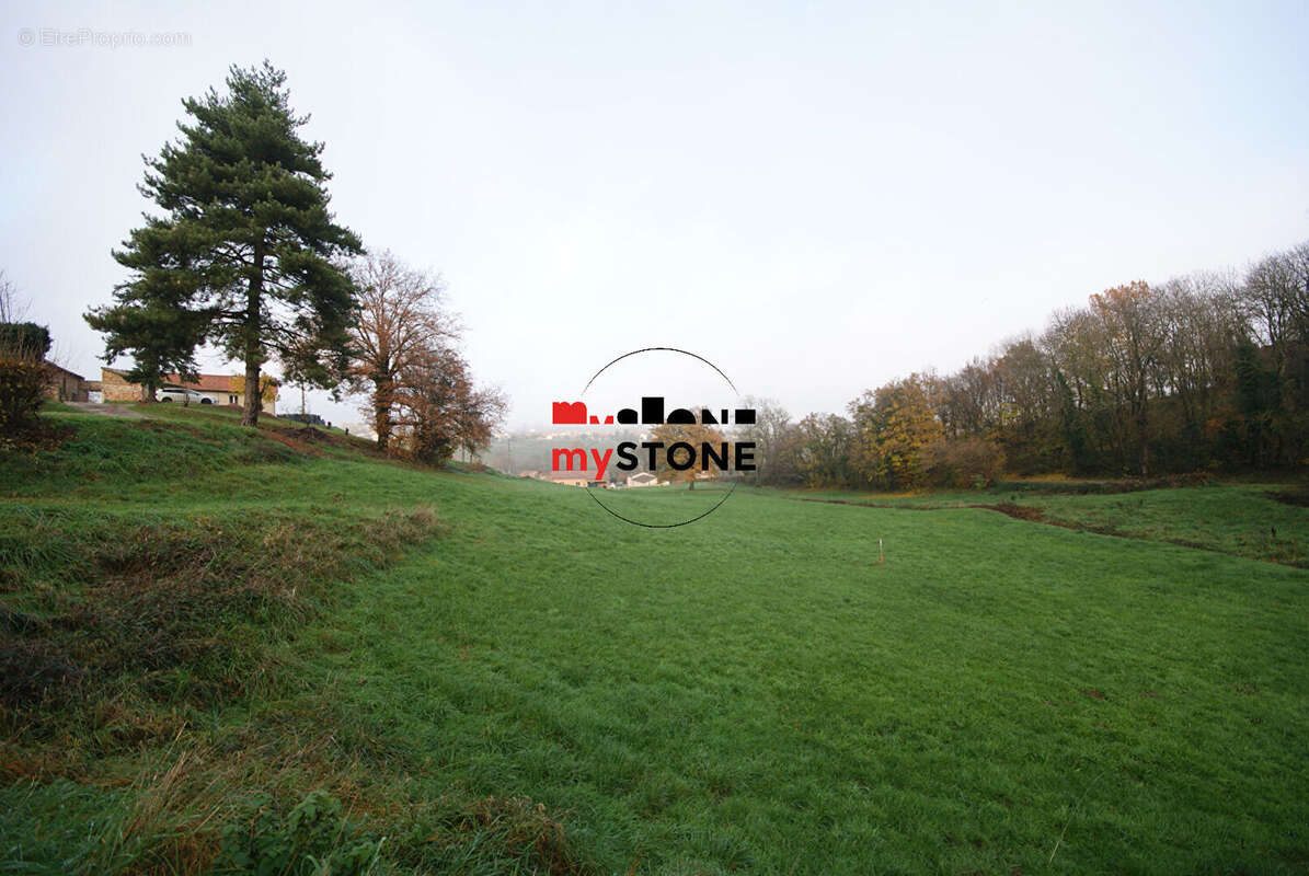 Terrain à SAINT-AMOUR-BELLEVUE