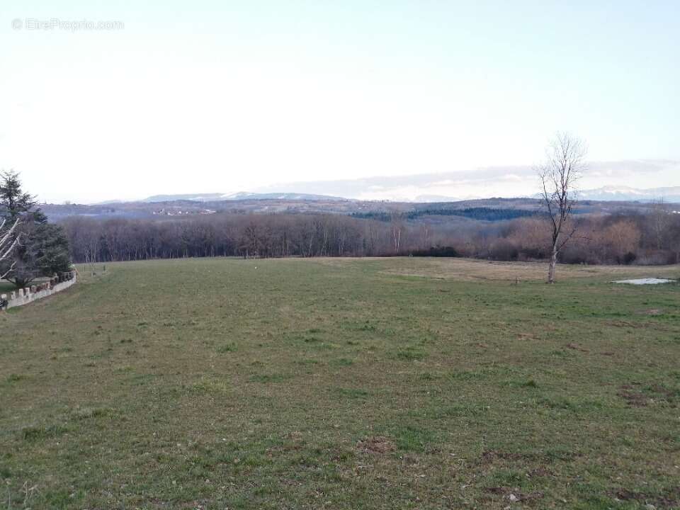 Terrain 670 m² à Savigny  - photo 2