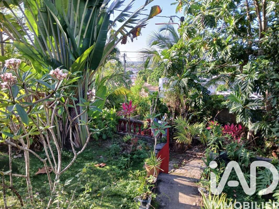 Photo 7 - Maison à MORNE-A-L'EAU