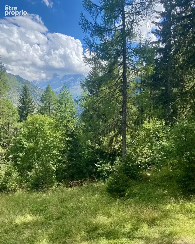 Chalet d'alpage en haute montagne à Vallorcine - photo 5