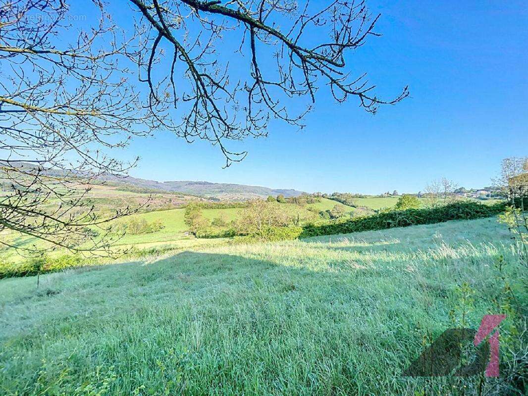 Terrain à LA ROCHE-VINEUSE