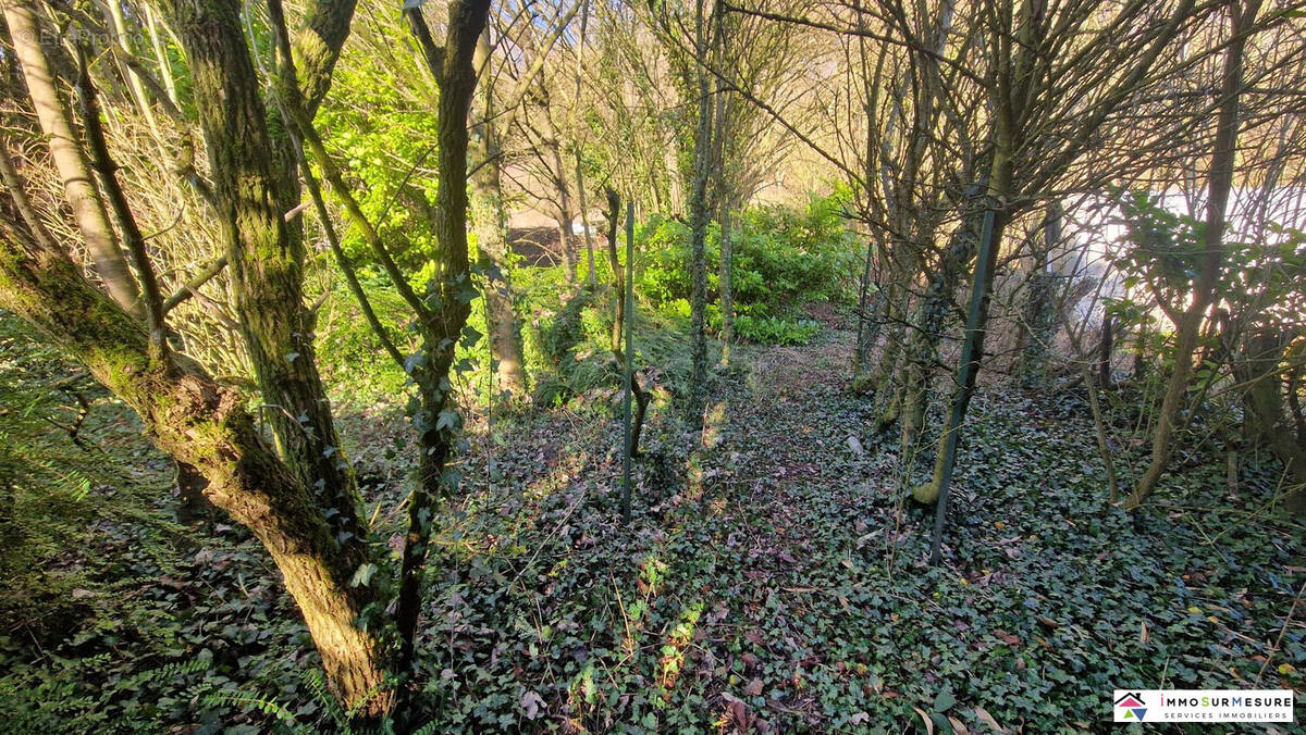 Terrain à BLANGERVAL-BLANGERMONT