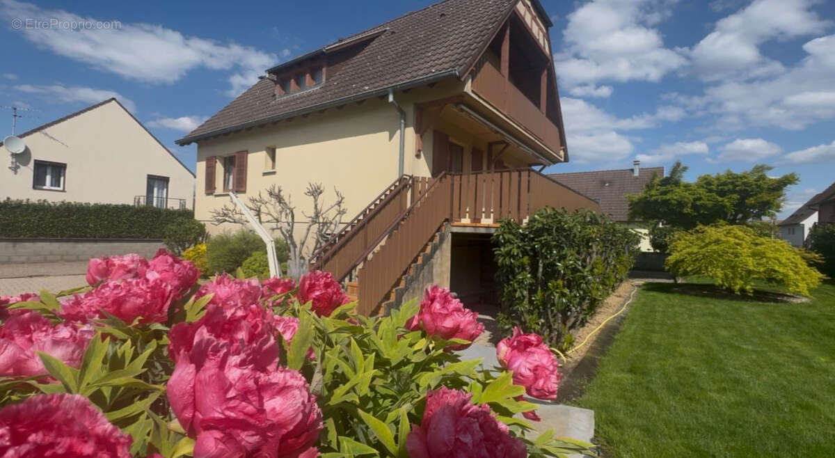 Maison à PFASTATT