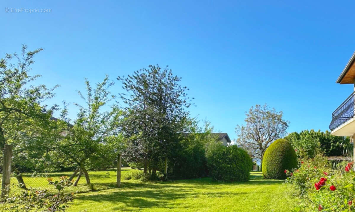 Terrain à LA MURETTE