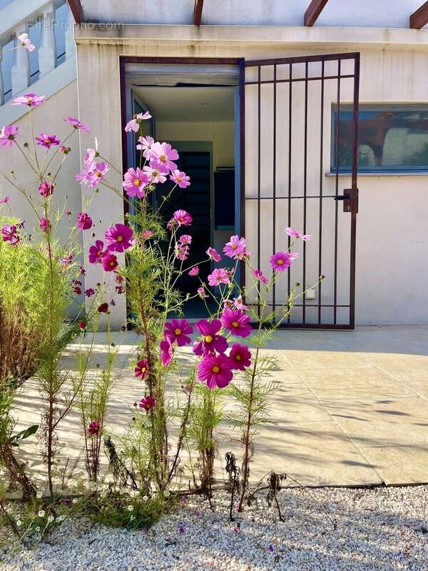 Maison à POLLESTRES