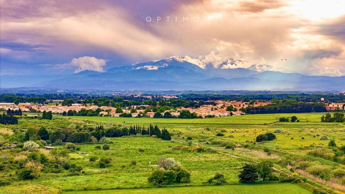 Terrain à SAINT-CYPRIEN