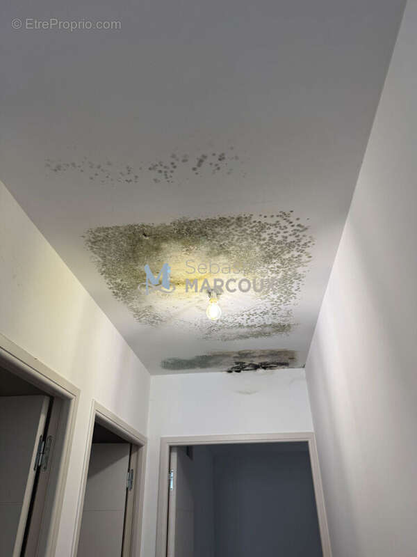 Appartement à SURY-LE-COMTAL