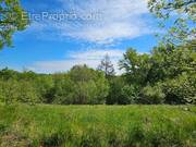 Terrain à NOAILLES