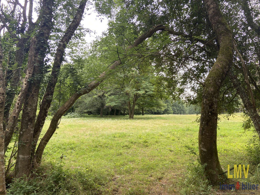 Terrain à LES SALLES-DE-CASTILLON
