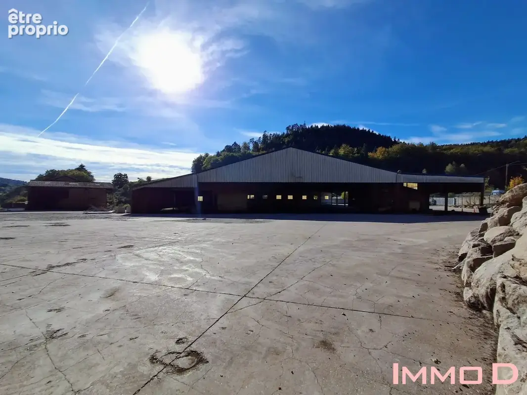 Commerce 3 400 m² à vendre à Docelles (88460) - photo 2
