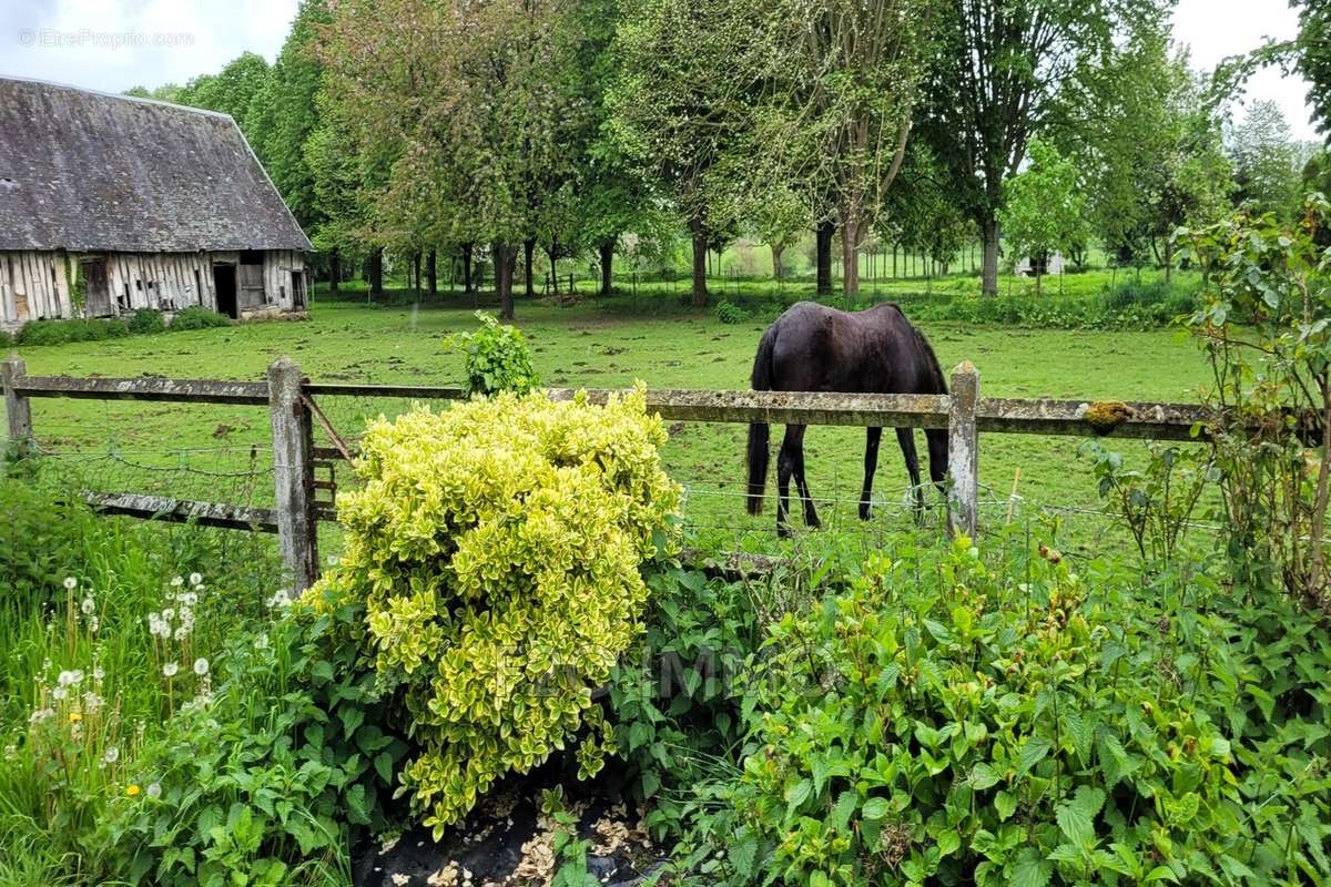 Maison à BOURG-ACHARD