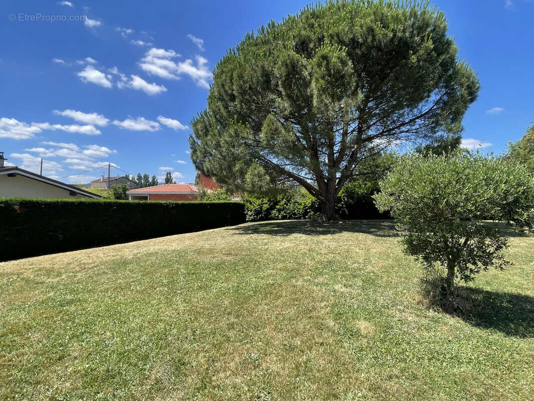 Terrain à GREZIEU-LA-VARENNE