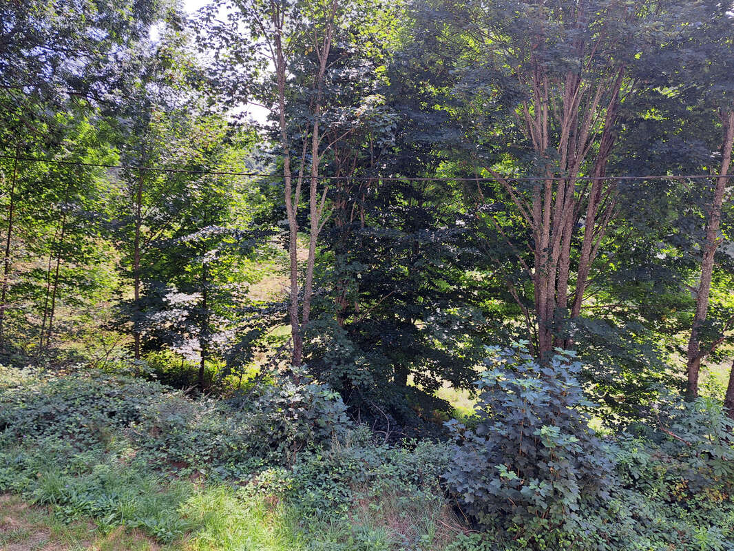 Maison à LE CHAMBON-SUR-LIGNON