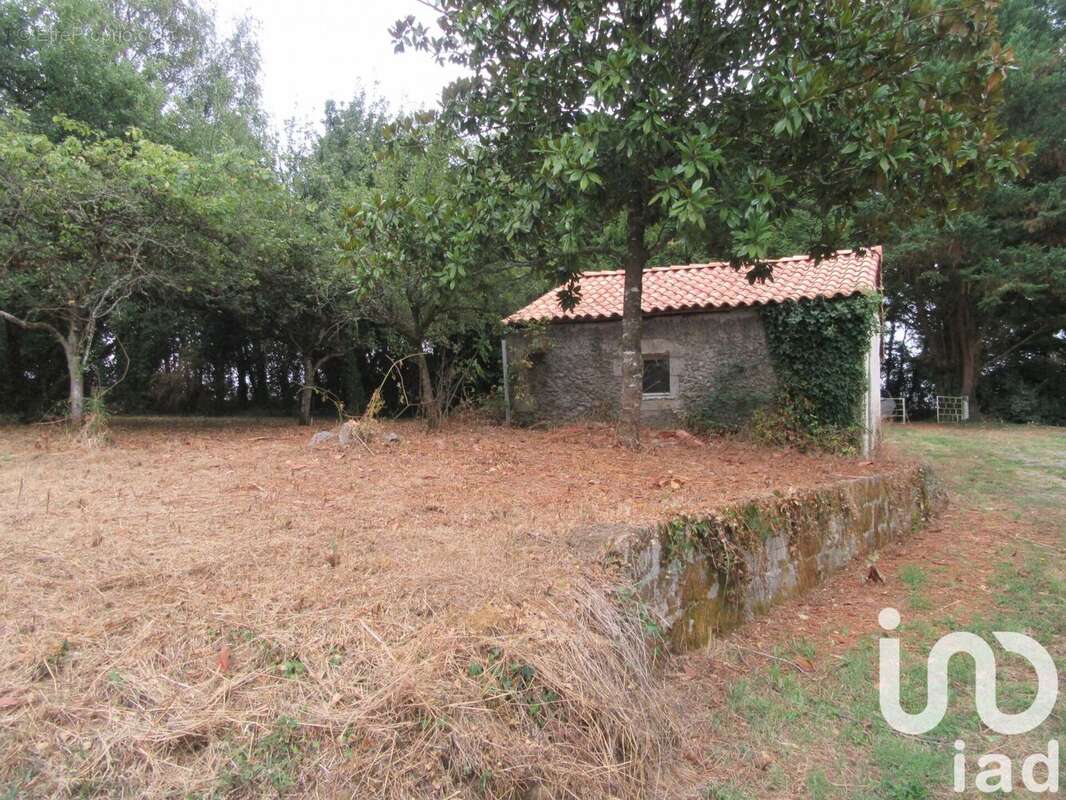 Photo 5 - Maison à MONCOUTANT