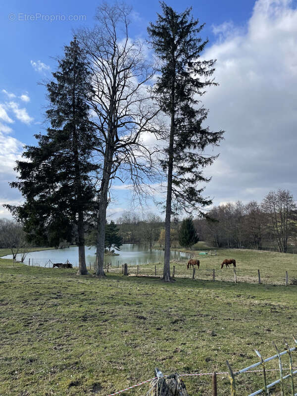 Maison à LES HAUTS-DE-CHEE