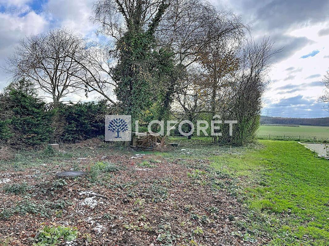 Terrain à MONTLUEL