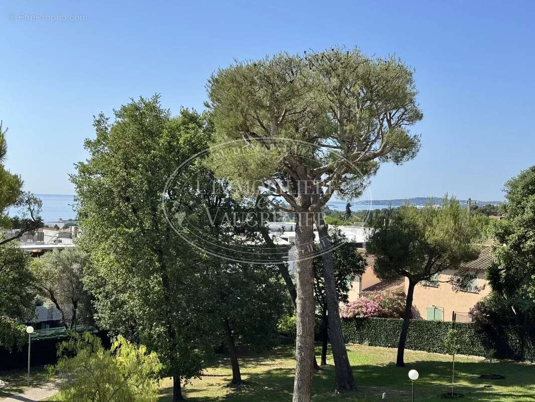 Vente villeneuve-loubet appartement 2/3 pièces 395 000.-€ - photo 3
