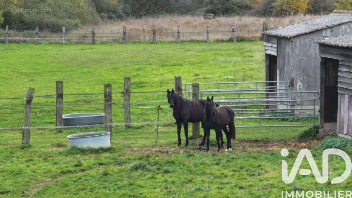Photo 9 - Maison à BROU