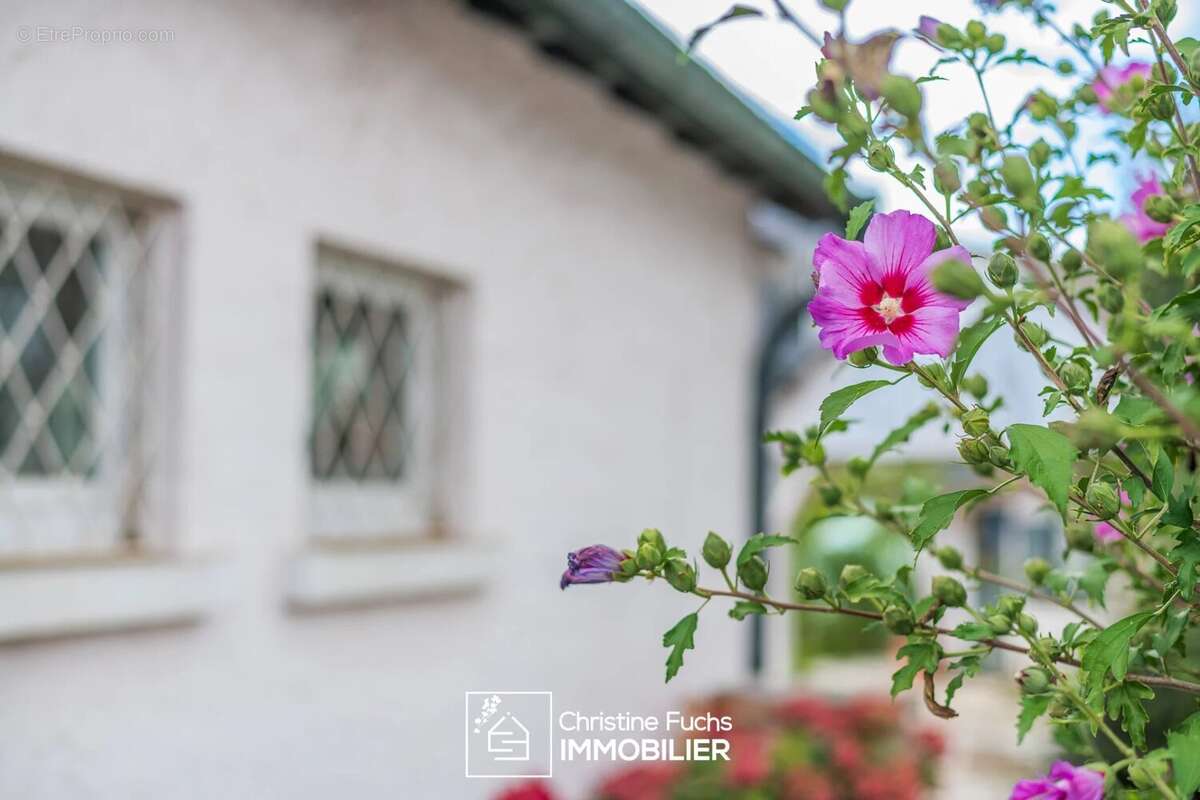 Maison cossue à Haguenau - photo 28